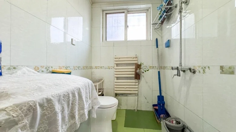 Jinan Literati Garden - View 20