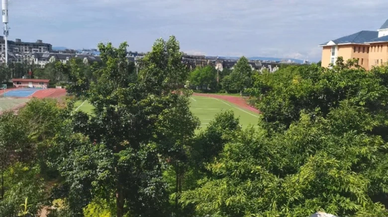 Monta Creek Park 1903 - View 8