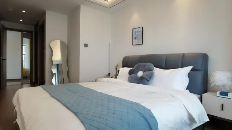 Vanke 500 Li - View 5