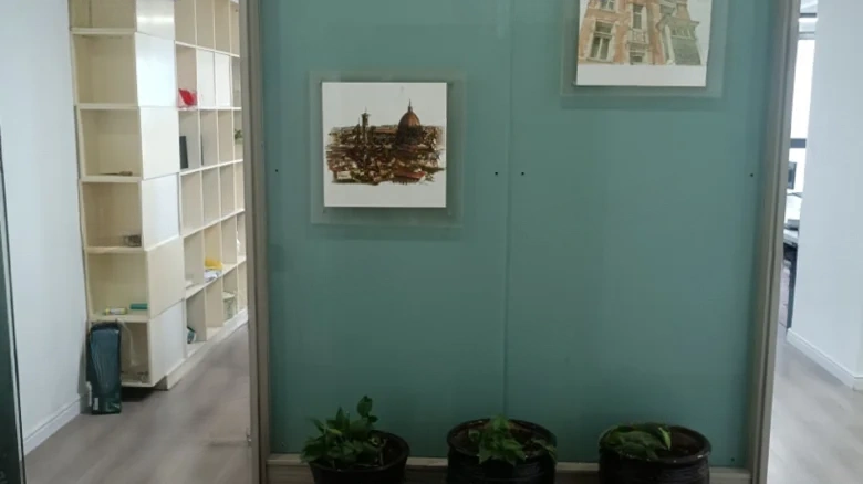 Suburban City Garden - View 4