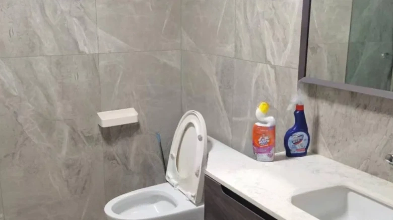 Green City Rose Garden - View 8