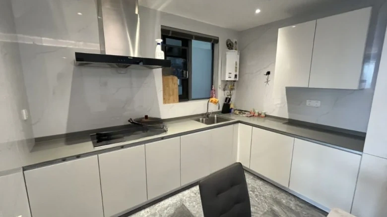 Art Hibiscus - View 6