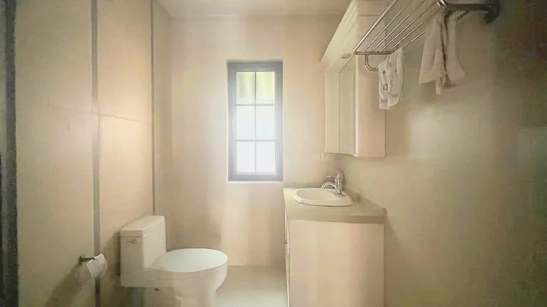 Dream Stream Lake Manor - View 29