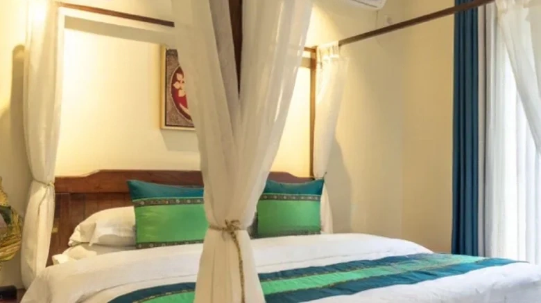 Cinnamon Camphor 16 Bazaar - View 4