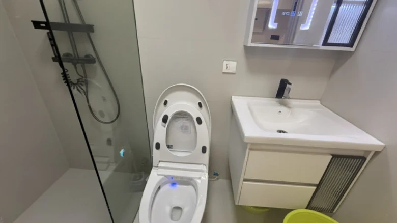 Cloud Seal · Joy Seal - View 4