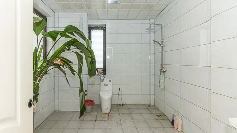 Poly Real Roland Sea Phase - View 18