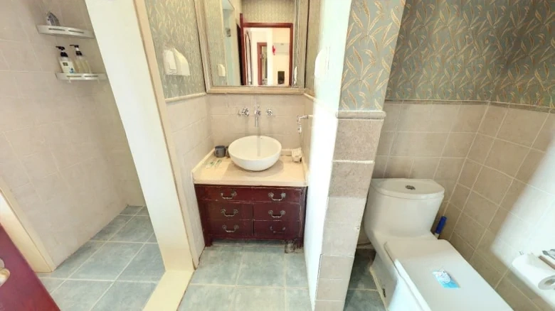 MASTER Domain - View 4