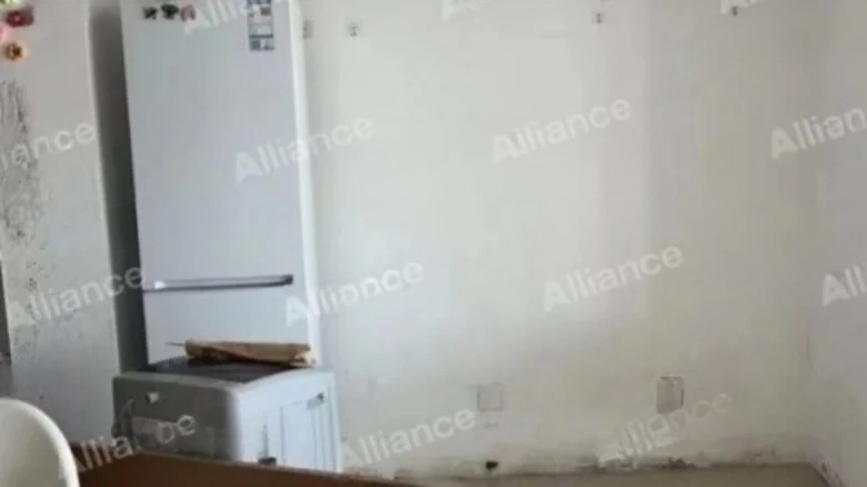 Business Garden - View 3