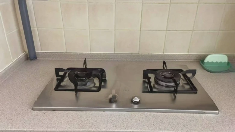 Luxin Hann Zhang Garden - View 12