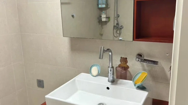 Shoukai Guofeng MeiTang Phase II - View 10