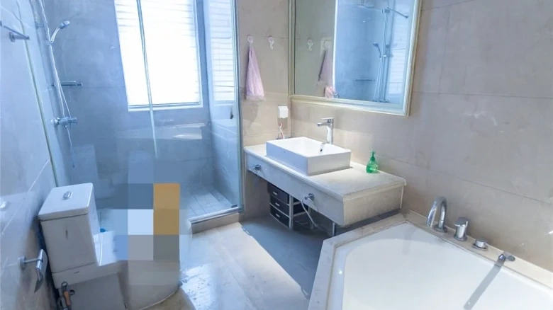 Prosperity Double Happiness City - View 10