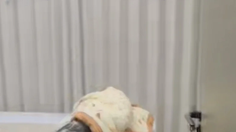 New City Langjun Metropolis - View 13