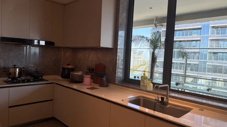 Shanhai Bay No. 8 - View 5