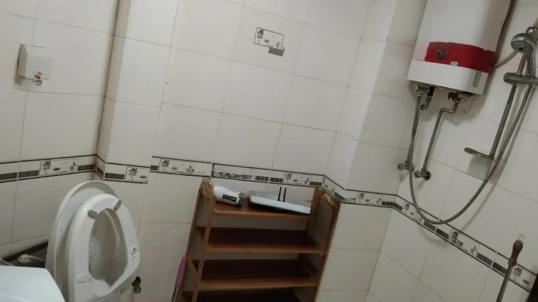 Nanhu Master Artists - View 7