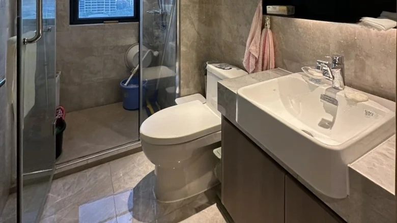 Wuyue Plaza Lan Yue Mansion - View 7