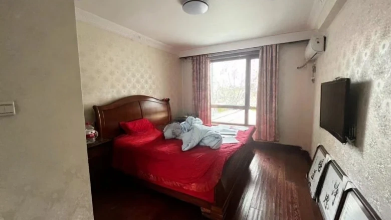 Nanhu One号 In some contexts, especially for locations or facilities, it's common to retain - View 7