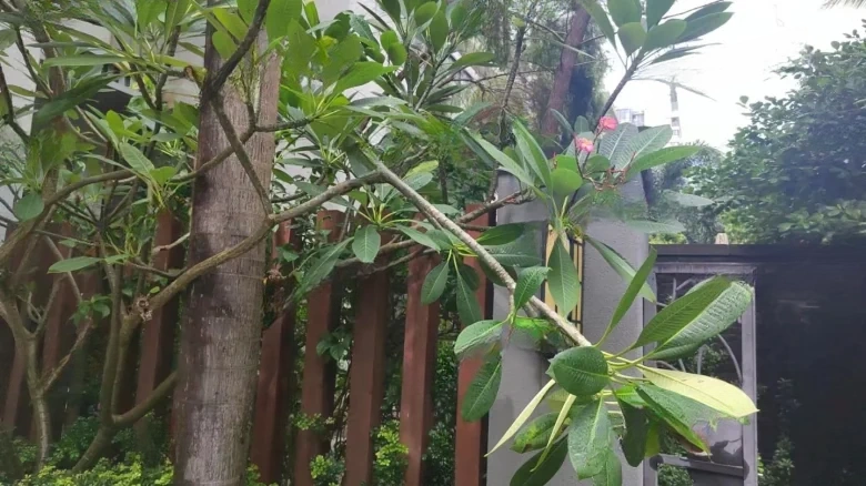 Lake View Mountain Retreat - View 17