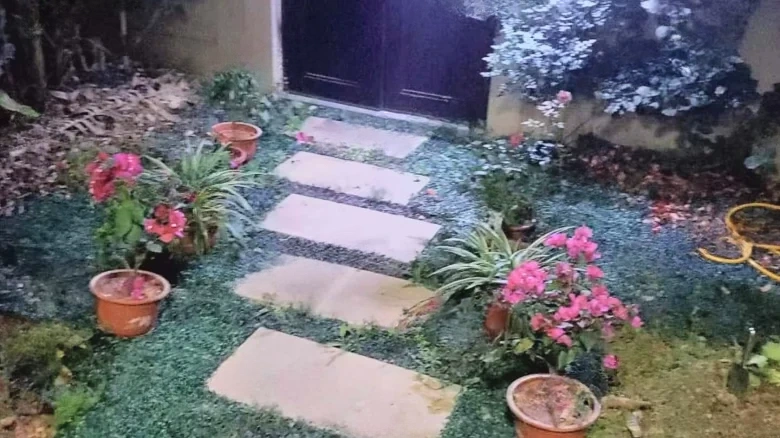 Sunshine City翡丽湾For - View 16