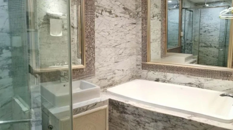 Emperor Dynasty Wanxin - View 4