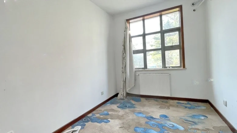 Melin Town Lao Mountain - View 6