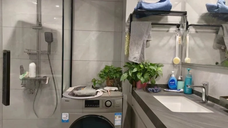 Zhicheng Maple Leaf International - View 8