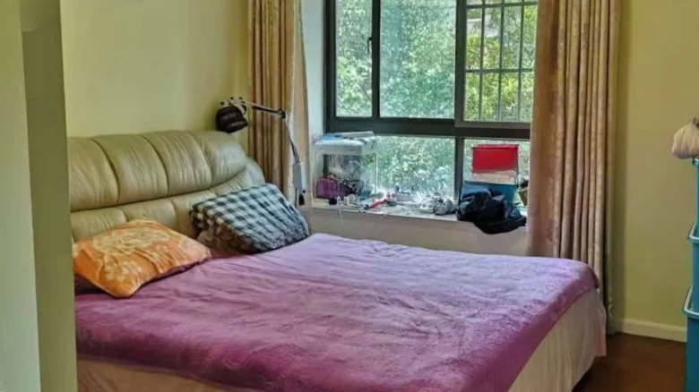 Nine City Lakefront International - View 4