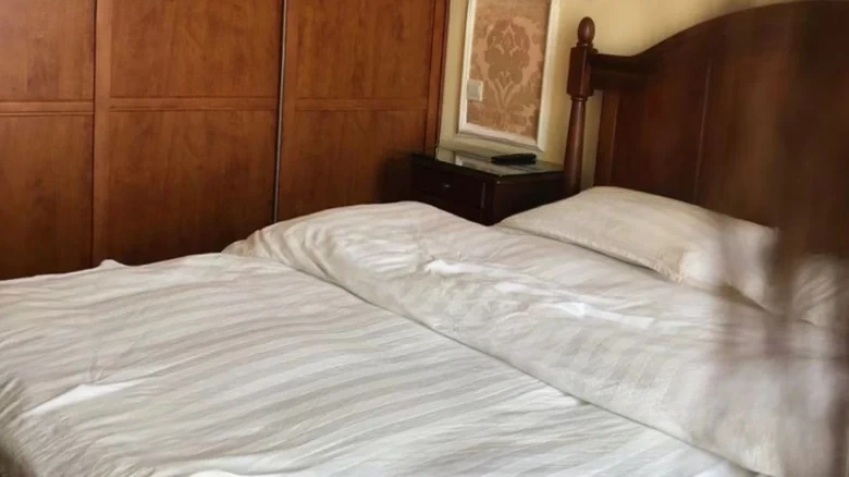 Red Star Purple Courtyard - View 2