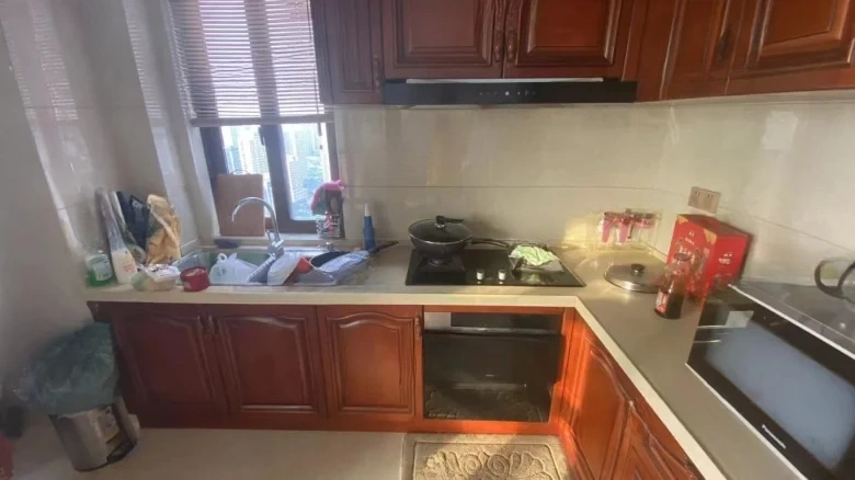 Zhongliang State Guest No. 1 North Zone - View 7