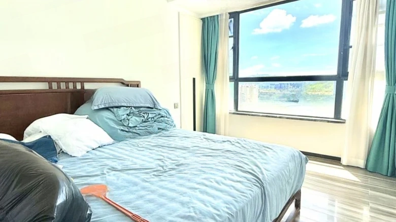 Mountain-Cloud Brocade - View 3