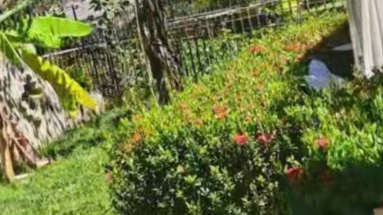 Phoenix Water City Hongshu Bay - View 16