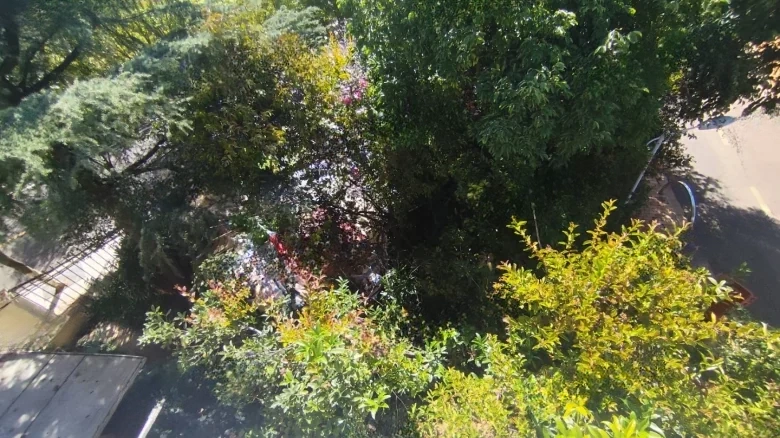 Dianchi Forest - View 21