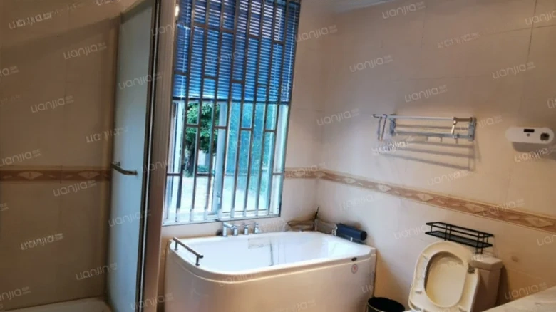 Dianchi Nanjun - View 10