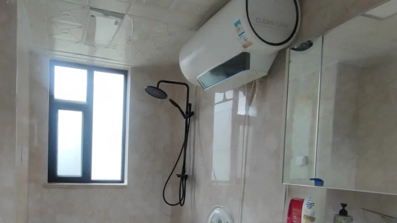 Swan Castle - View 7