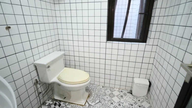 Magnificent Island Facing Two Rivers and Government Offices - View 21