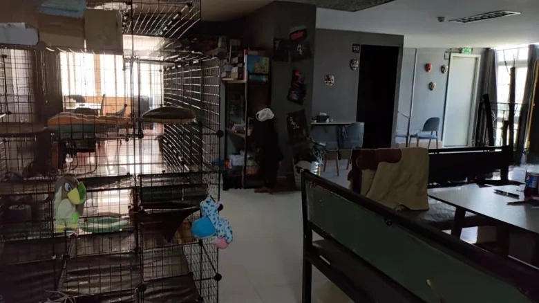 Cannes Town - View 3