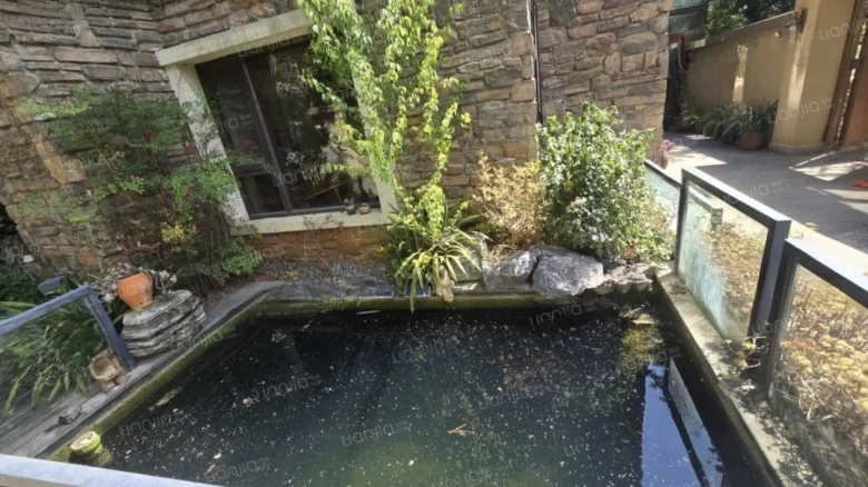 Forest Lake - View 23