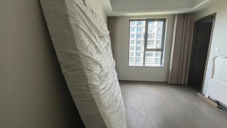 Poly Development Imperial Lake Shangpin - View 4