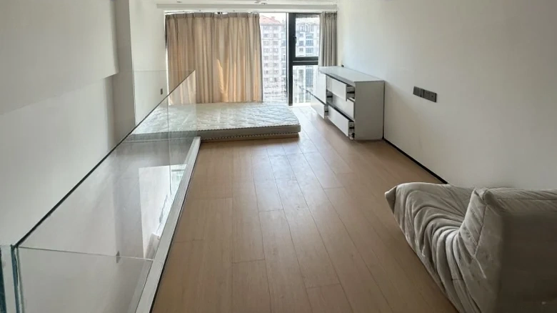 Cloud Seal · Joyful Seal - View 2