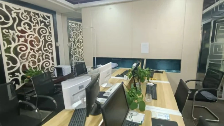 Honglin International - View 2