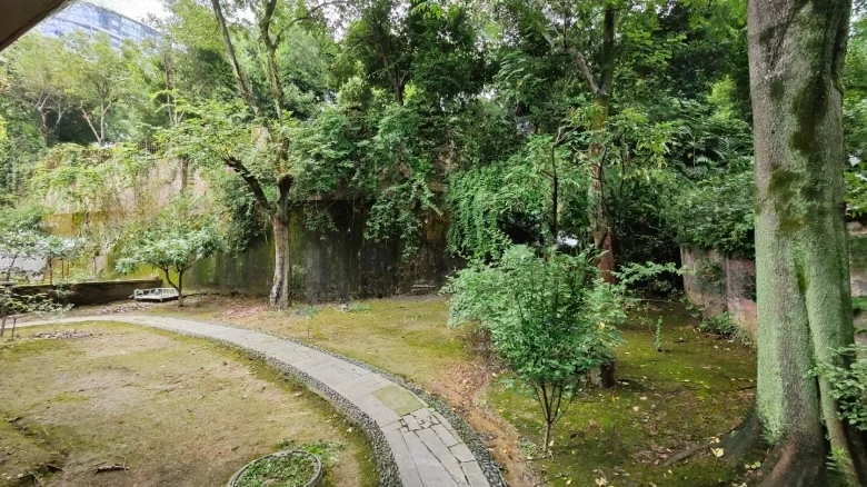 Evergreen Humanities Villa - View 25