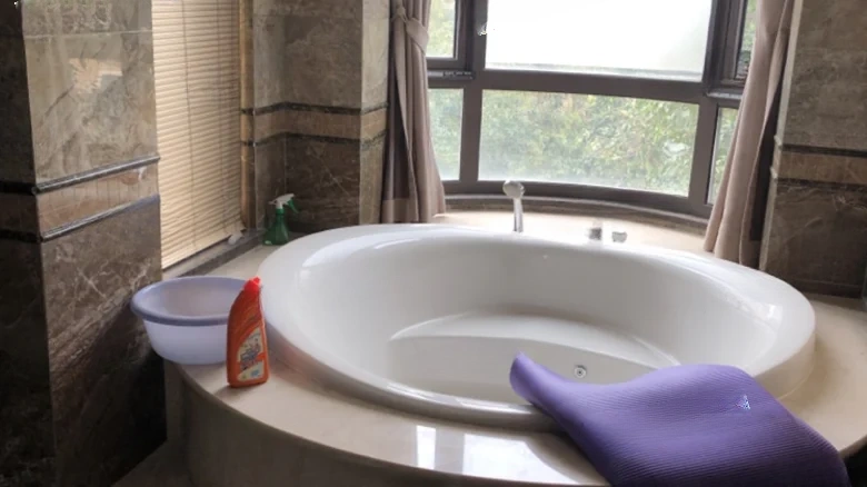 Country Garden Lakeside City - View 10