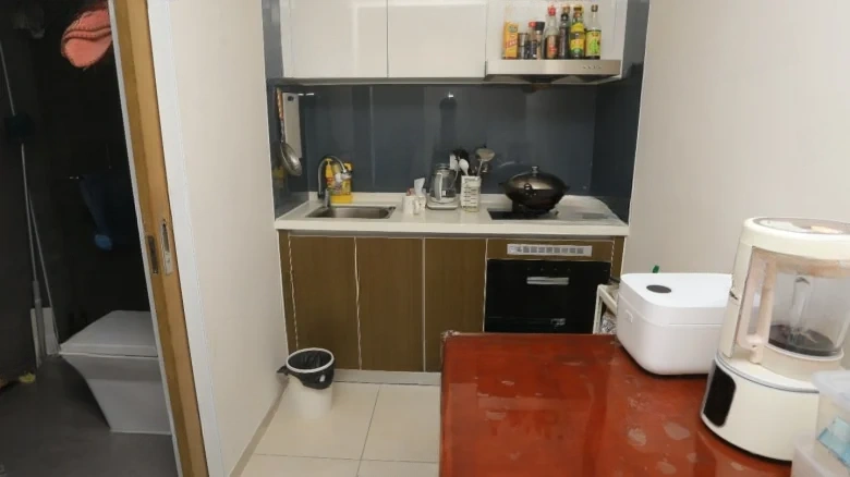 Pearl River Lihao - View 5