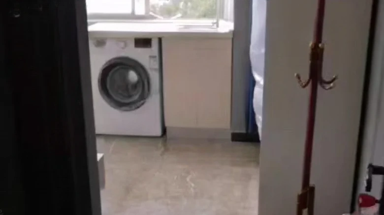 Jinlun Garden - View 6