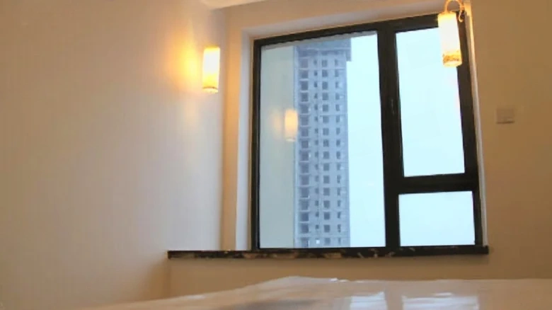 Shimao New Wulihu - View 3