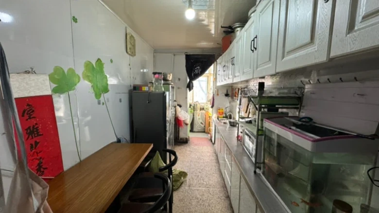 PreQilian Mountains - View 4