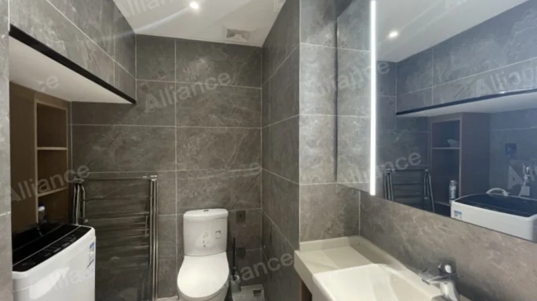 Vanke Lakeview Resort Park Phase II - View 8