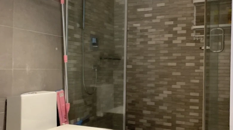 Pearl River Lihao - View 6