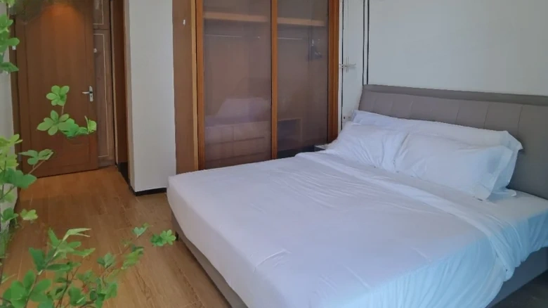 Sanya Puhai - View 2