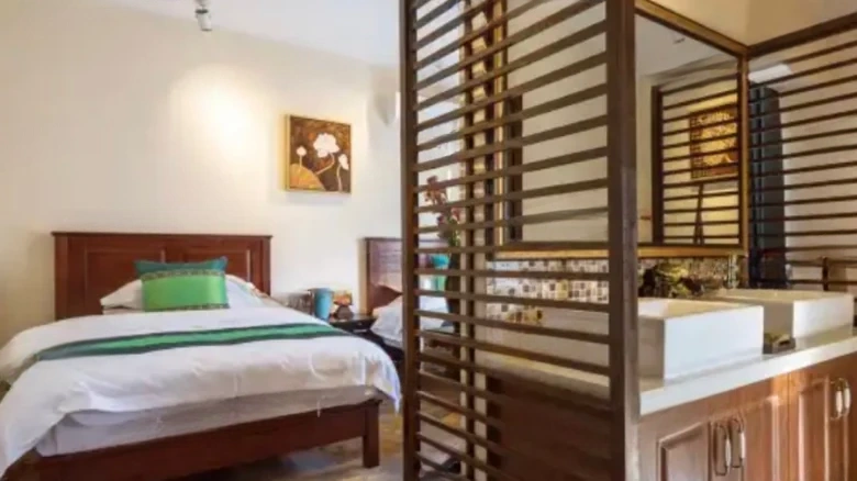 Cinnamon Camphor 16 Bazaar - View 6