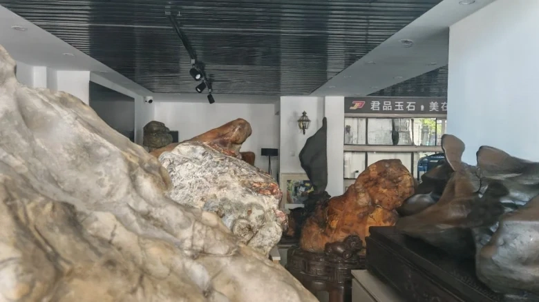 China Merchants International Cruise City - View 1